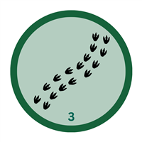 badge