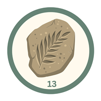 badge